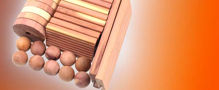Assorted wooden shapes, including balls, cylinders, and rectangular blocks, arranged against an orange gradient background.