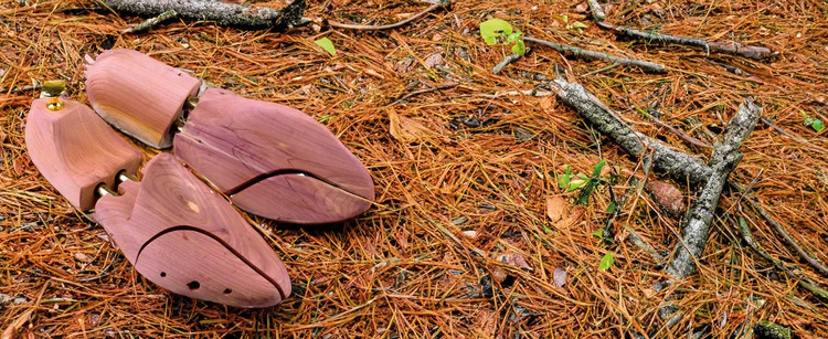 A pair of wooden shoe lasts lying on a forest floor covered with pine needles and small branches. The shoe lasts have a natural finish and are surrounded by rustic woodland elements.